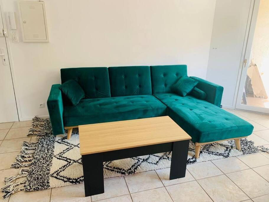 Appartement Rangeuil Toulouse Kültér fotó